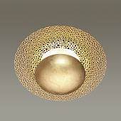 Настенно-потолочный светильник ODEON LIGHT арт. 3559/24L