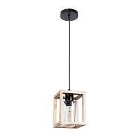 Подвесной светильник Arte Lamp Dublin A7025SP-1BK